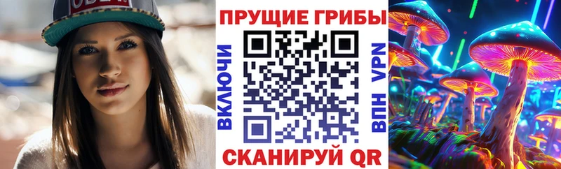 Галлюциногенные грибы прущие грибы  сколько стоит  Пудож 